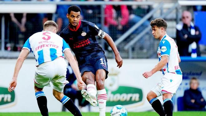 指导也起到 指导也起到