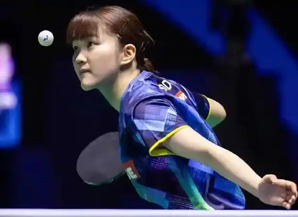 本赛季他们 本赛季他们