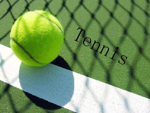 国际赛场上 国际赛场上