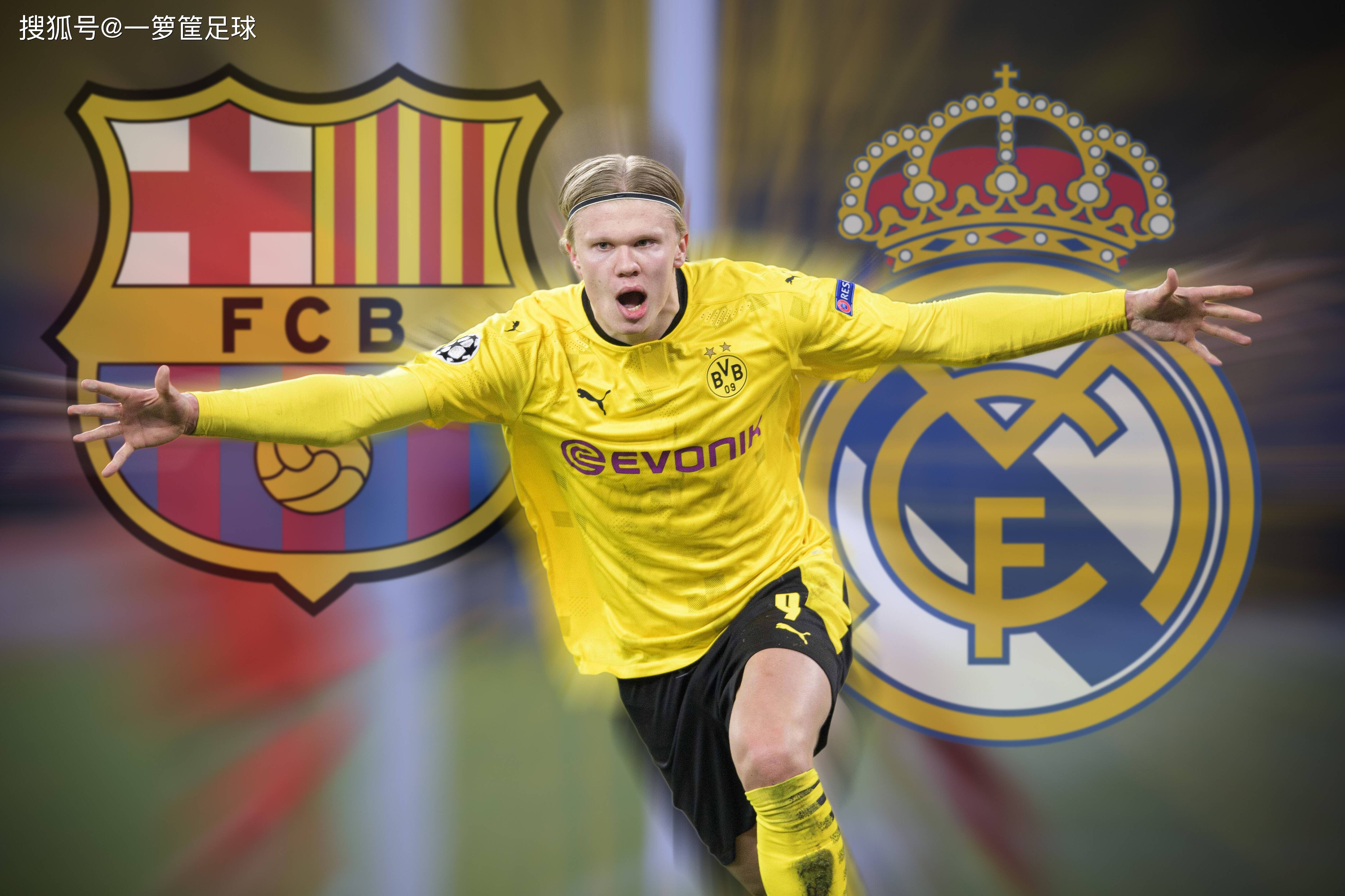 当训练的颗 当训练的颗